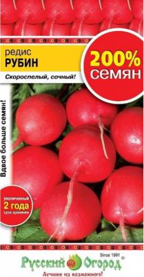 Редис Рубин – фото 12