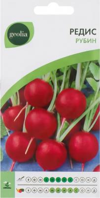 Редис Рубин – фото 15