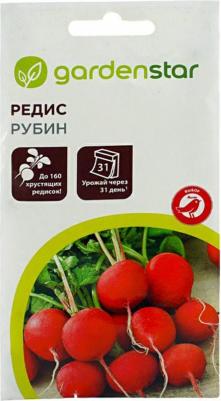 Редис Рубин – фото 16