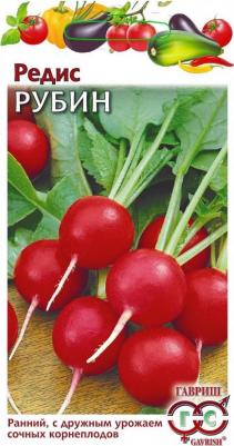 Редис Рубин – фото 18