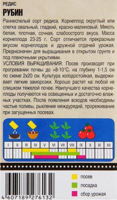 Редис Рубин – фото 19