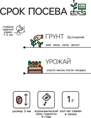 Редис Рубин – фото 20