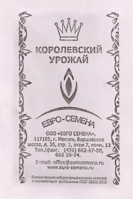 Редька Белая зимняя круглая – фото 1