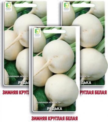 Редька Белая зимняя круглая – фото 16