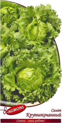 Салат Крупнокочанный айсберг – фото 12