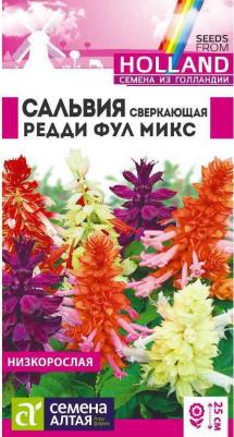 Сальвия Редди – фото 2