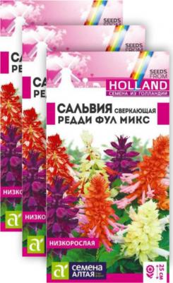 Сальвия Редди – фото 3