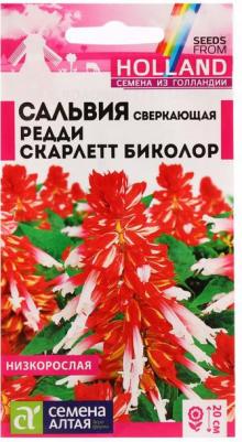 Сальвия Редди – фото 7
