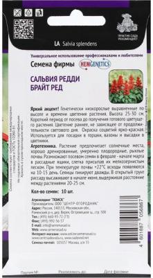 Сальвия Редди – фото 9