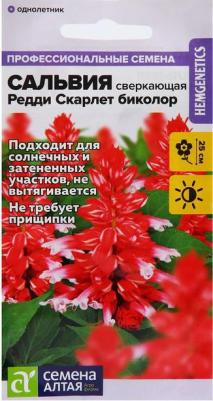 Сальвия Редди – фото 12