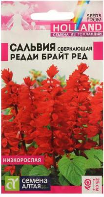 Сальвия Редди – фото 16