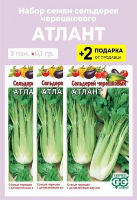 Сельдерей черешковый Атлант – фото 18