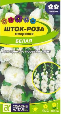 Шток-роза Белая – фото 7