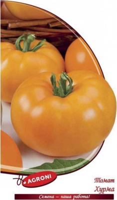 Томат Хурма – фото 17