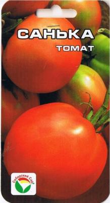 Томат Санька – фото 5
