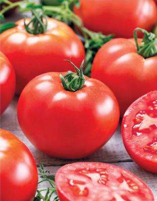 Томат Волгоградский 5/95 – фото 14