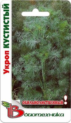 Укроп Кустистый – фото 6