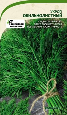 Укроп Обильнолистный – фото 1