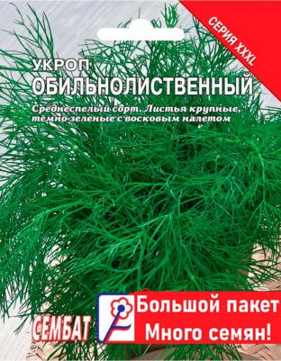 Укроп Обильнолистный – фото 15