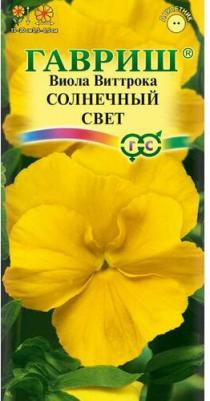 Виола Солнечный свет