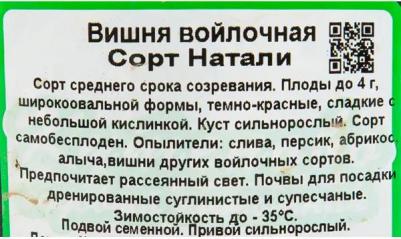 Вишня Войлочная Натали – фото 2