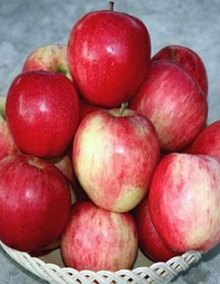 Яблоня Строевское – фото 3