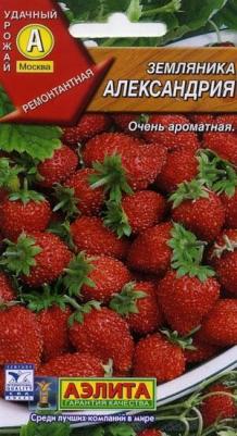 Земляника Александрия альпийская – фото 5