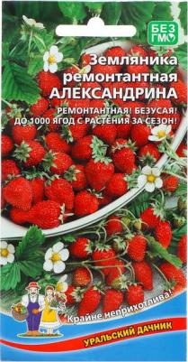 Земляника Александрия альпийская – фото 17