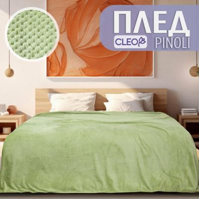 Плед велсофт Pinoli арт PN-010 2 спальное – фото 1