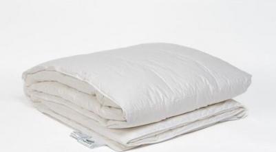 Одеяло 160х210 Воздушный вальс гусиный пух премиум теплое