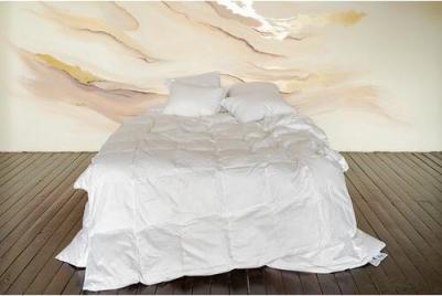 Одеяло “Северное сияние” с гусиным пухом 160х210 всесезонное кассетное – фото 2