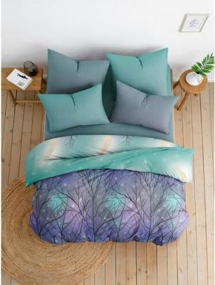 Постельное Белье Черная птица 70894-1+70895-1 Поплин 1.5 сп. (70х70) – фото 1