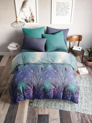 Постельное Белье Черная птица 70894-1+70895-1 Поплин 1.5 сп. (70х70) – фото 2