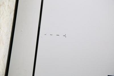 DWF-409/6 W – фото 13