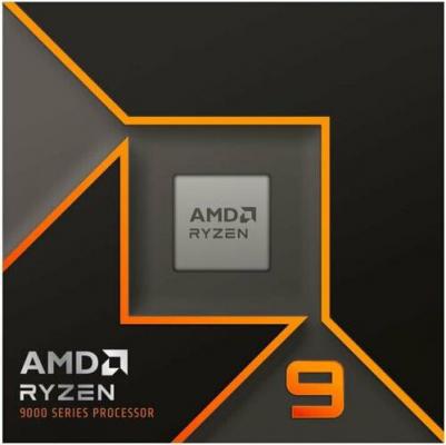 Ryzen 9 9900X