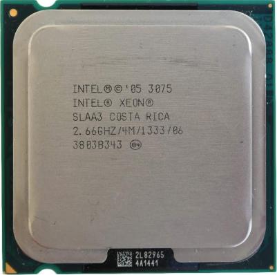 Xeon 3075 – фото 1