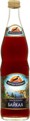 Напиток Байкал 500мл 4602441011124 – фото 1