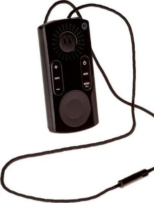 CLK 446 – фото 6