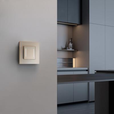 Рамка для розетки / выключателя на 1 пост W0013111 Senso шампань soft-touch – фото 4