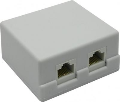 Розетка сетевая RJ45, cat.5e, два порта [LY-SB02-A]