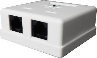 WS-8P8C-Cat.5e-2 Розетка компьютерная RJ-45, категория 5e, двойная, внешняя, Dual I – фото 1