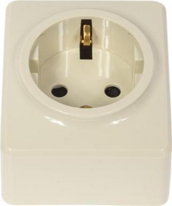 11-2204-02 11-2204-02 Розетка 2P+E Schuko со шторками, 16A-250В, IP20, ОУ, Эксперт, сл.кость, цена за 1 шт – фото 1