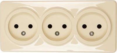 11-2207-02 11-2207-02 Розетка 3х2P, 16A-250В, IP20, ОУ, Эксперт, сл.кость, цена за 1 шт – фото 1