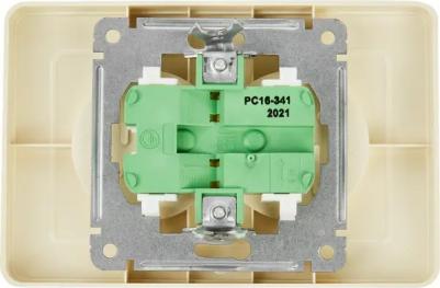 Розетка с рамкой Master РС16-341-01 двойная скрытая установка слоновая кость без заземления – фото 5