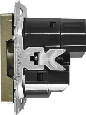 BRITE Розетка 1-местная с заземлением с защитными шторками 16А с USB A+A 5В 2,1А РЮш10-1-БрШ шампань, цена за 1 шт – фото 2