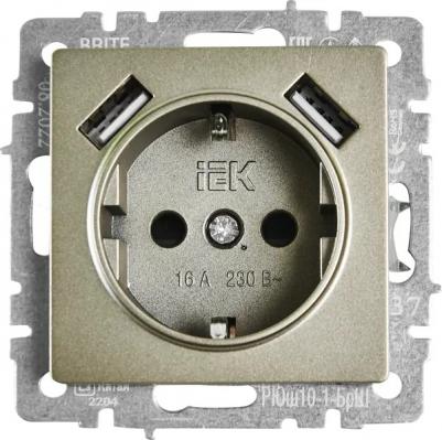 BRITE Розетка 1-местная с заземлением с защитными шторками 16А с USB A+A 5В 2,1А РЮш10-1-БрШ шампань, цена за 1 шт