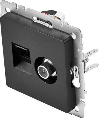 BRITE Розетка двойная TV+RJ45 кат.5E РТВ/РК12-БрЧ черный, цена за 1 шт