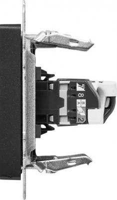BRITE Розетка компьютерная RJ45 кат.5E РК10-БрЧ черный, цена за 1 шт – фото 8