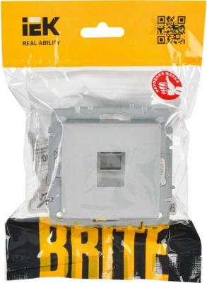 BRITE Розетка компьютерная RJ45 кат.6 РК11-БрА алюминий, цена за 1 шт – фото 1