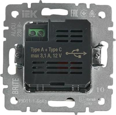 BRITE Розетка USB A+C 18Вт РЮ11-1-БрКр бежевый, цена за 1 шт – фото 1